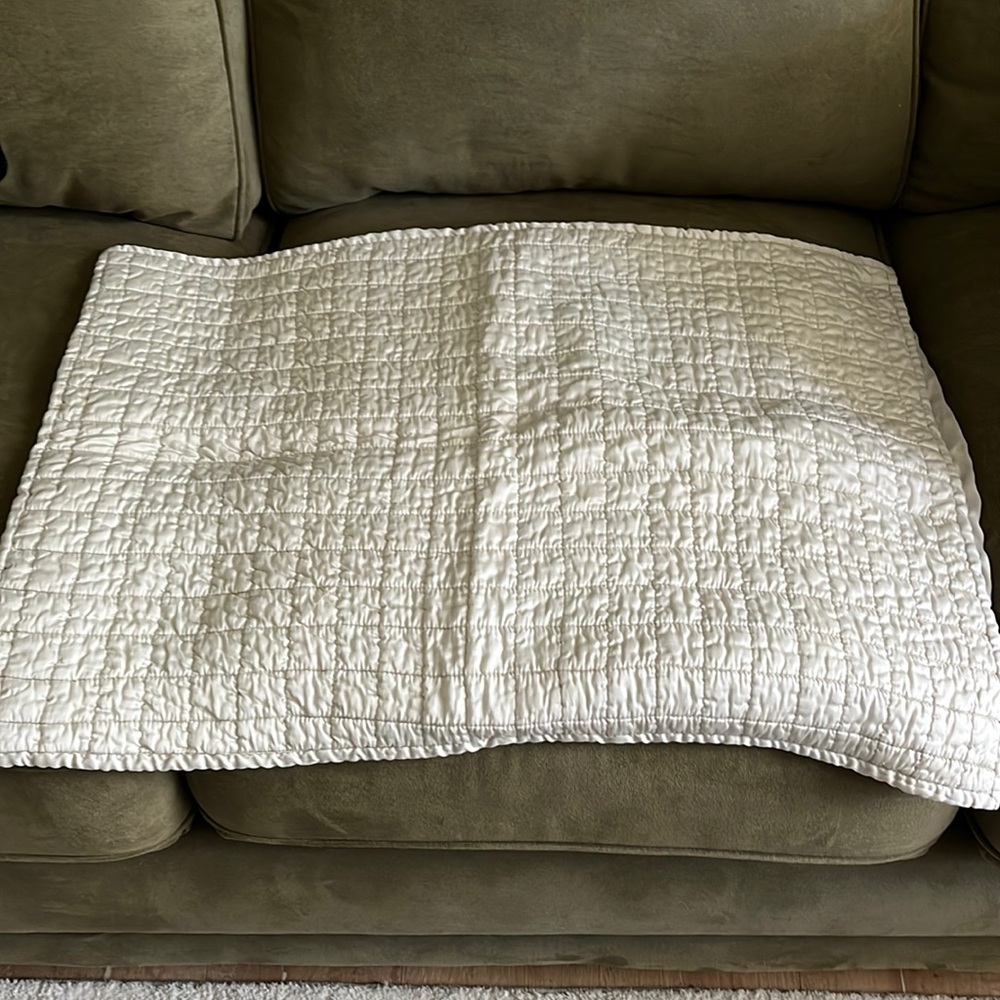 Pillow sham from Restoration Hardware-standard size